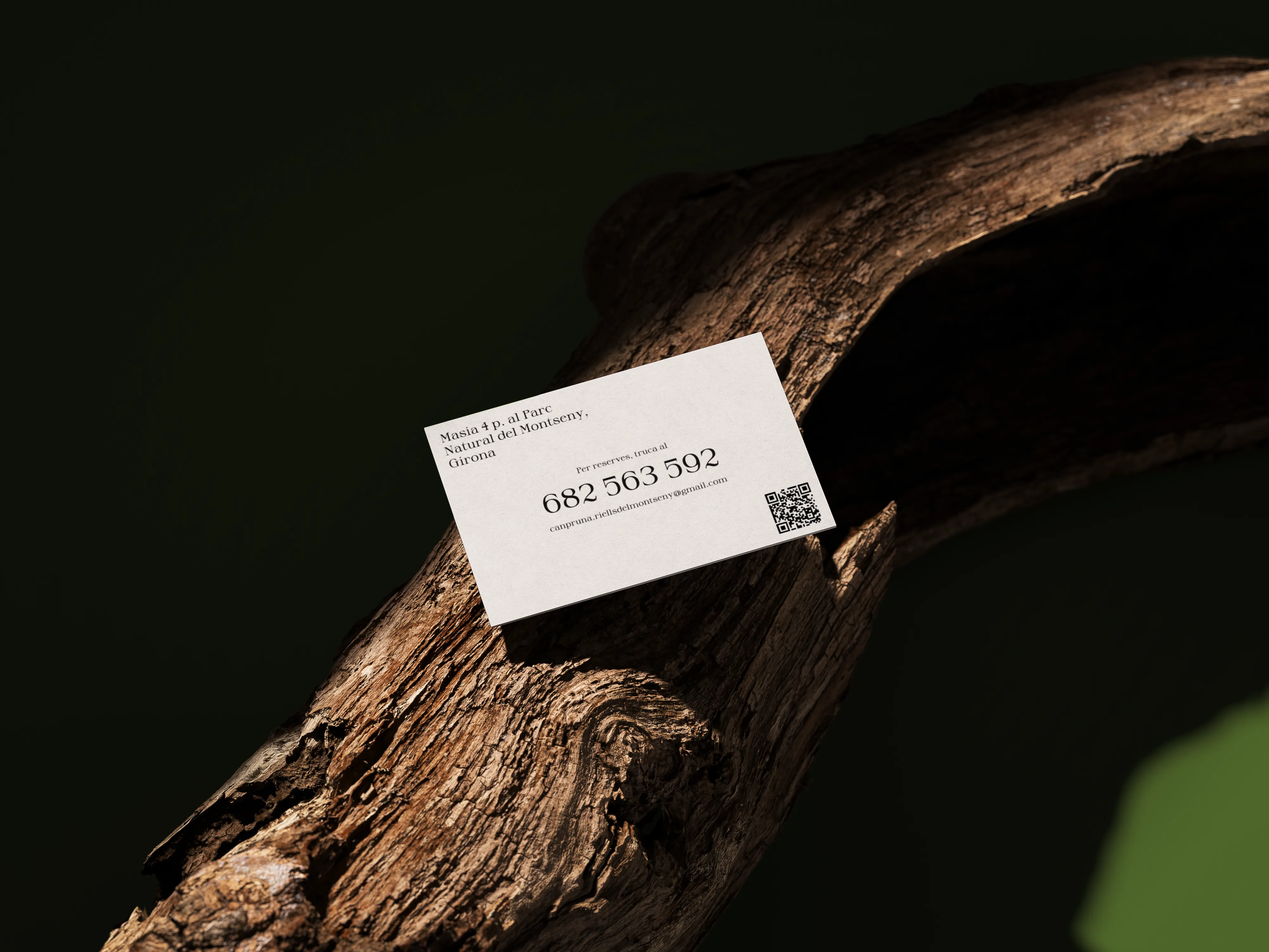 Can Pruna business card mockup