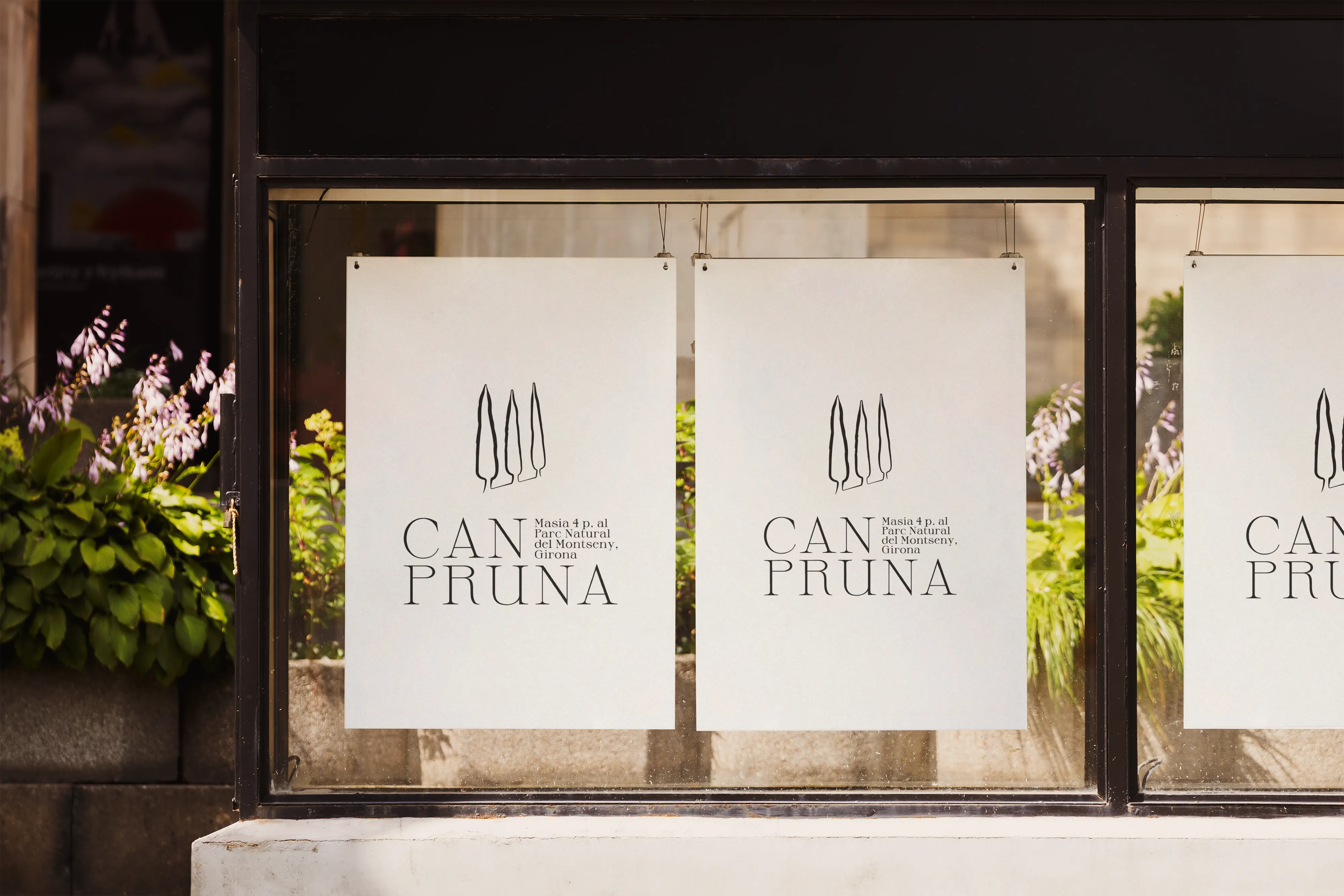Can Pruna posters mockup