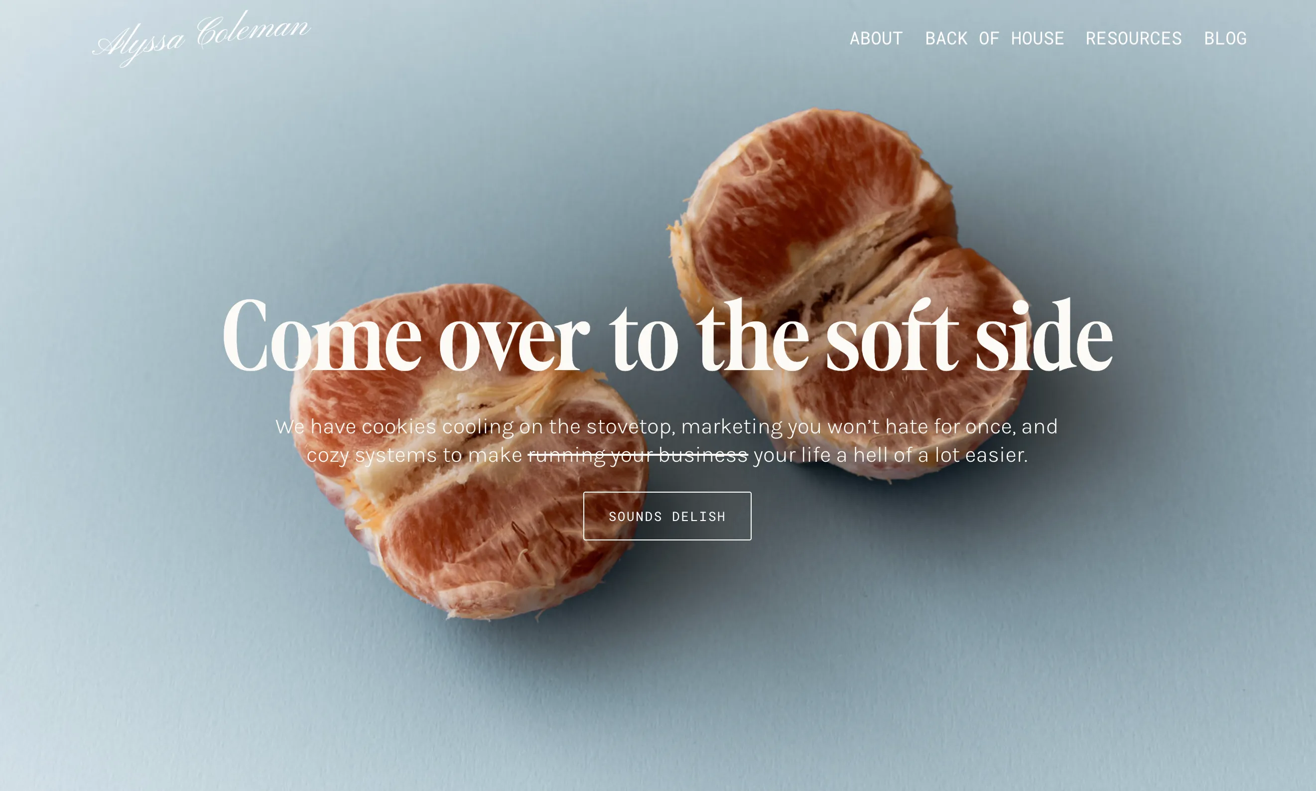Back of House — redesigned site, full screen still