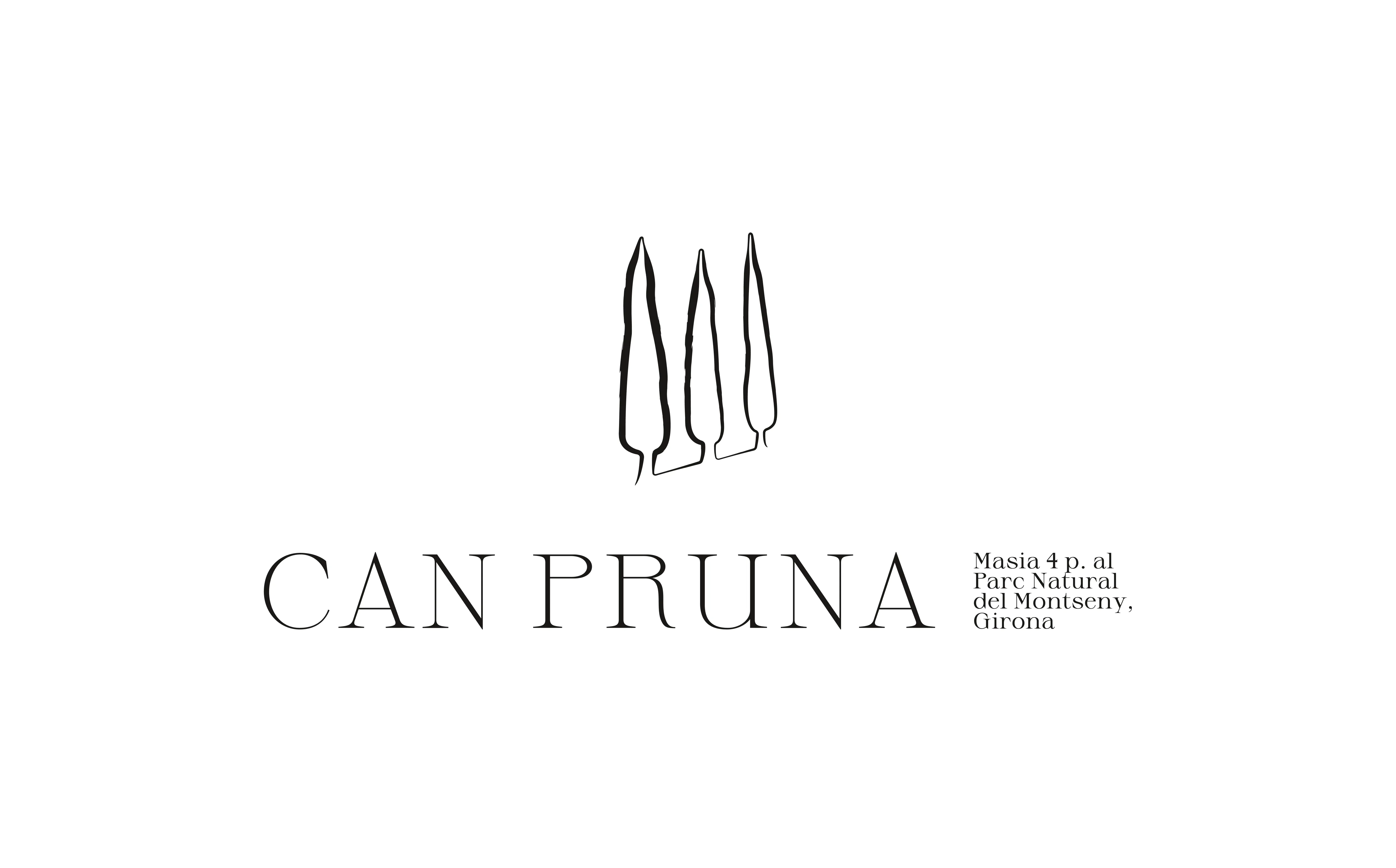Can Pruna portfolio image 12