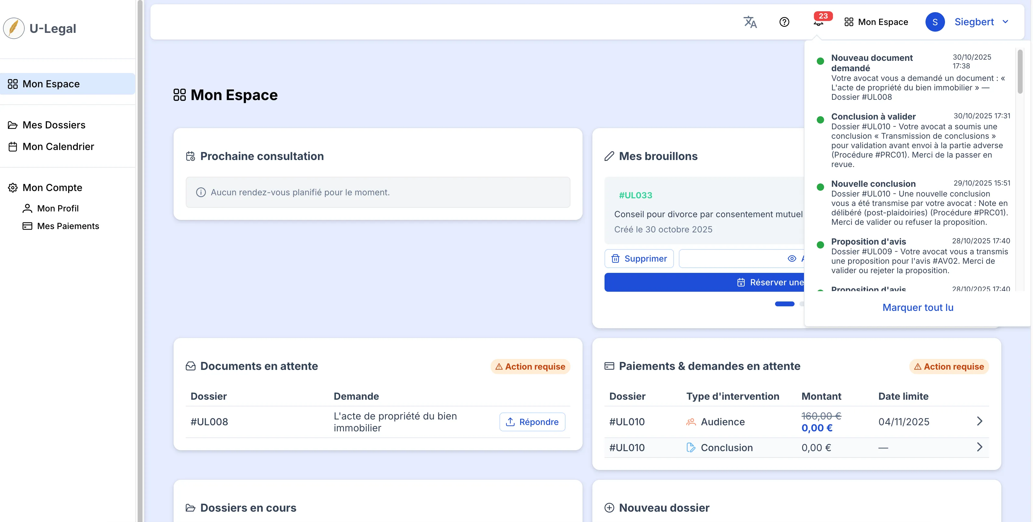 Client-Lawyer Platform screen 11