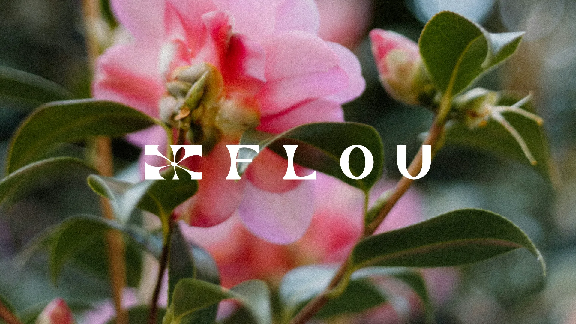Flou 11