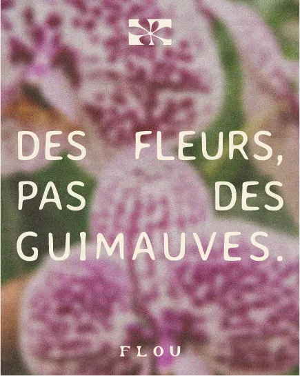 Flou 3