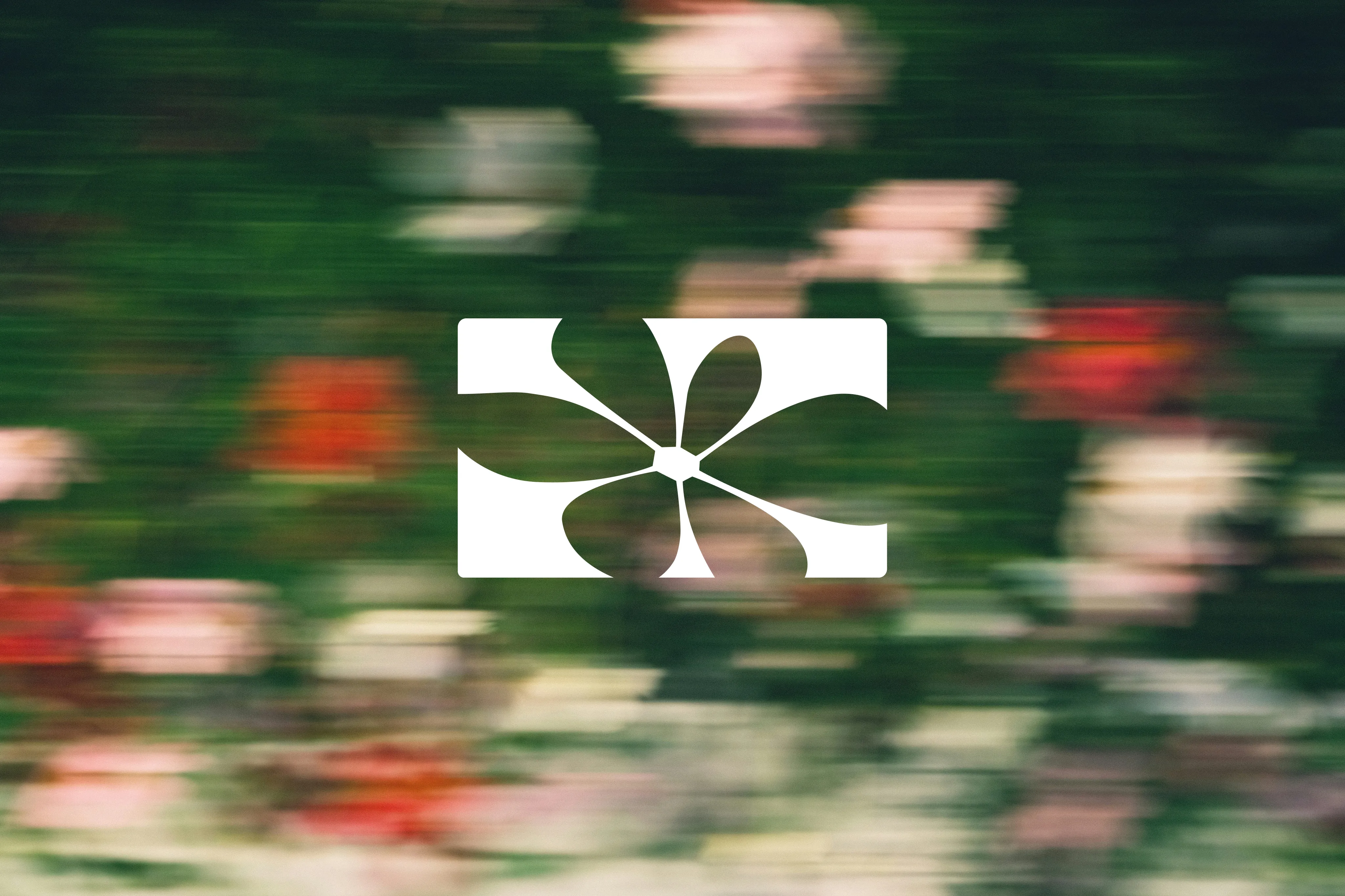 Flou floral logo over a blurred bouquet