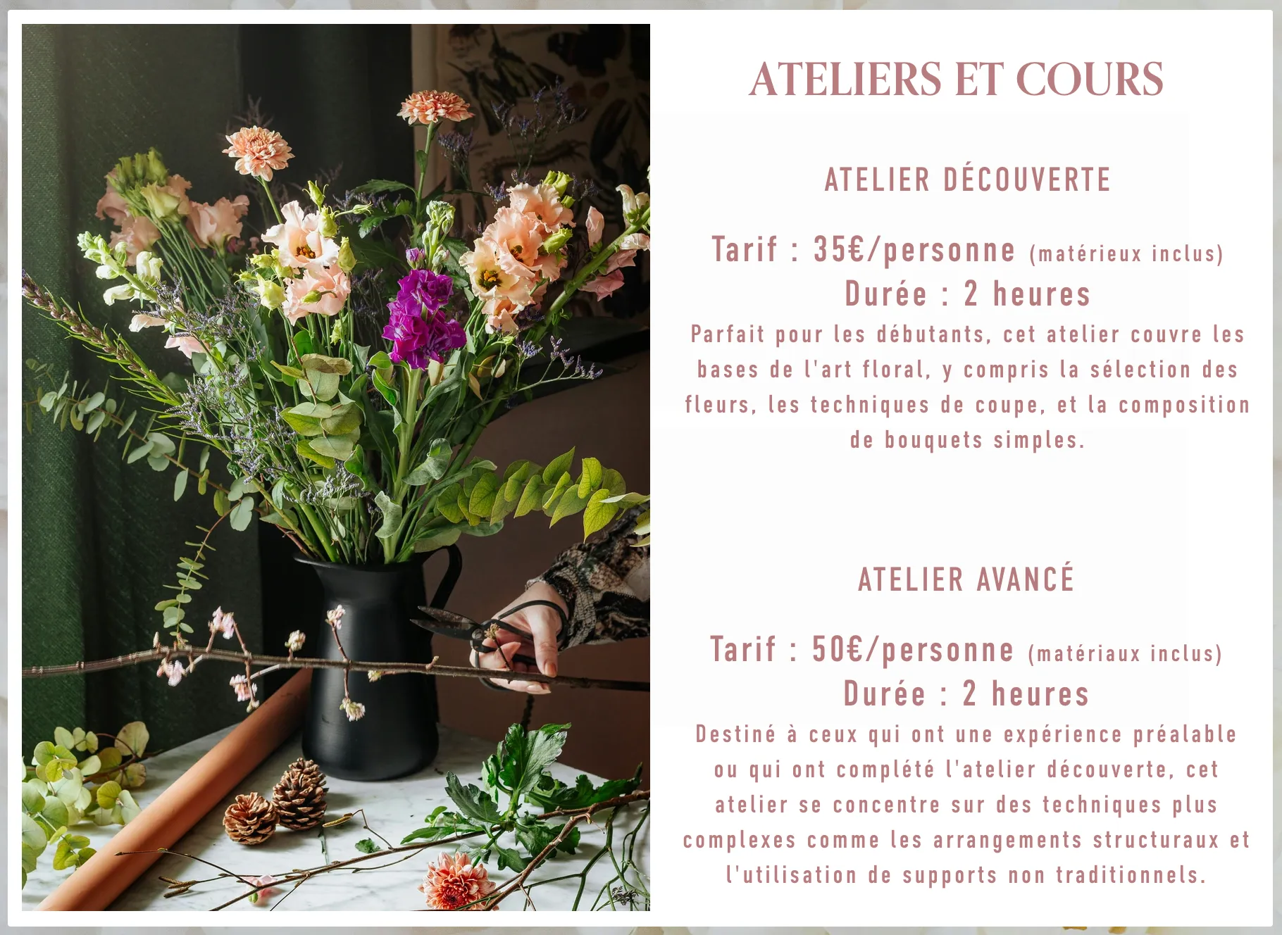 La Petite Serre Urbaine contact section