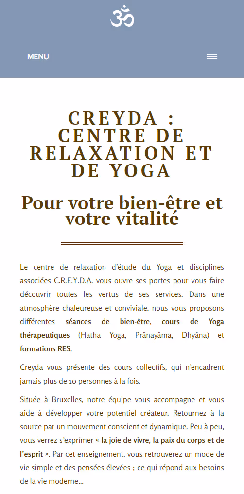 Isaure Lohest web developement project 3 - mobile vue