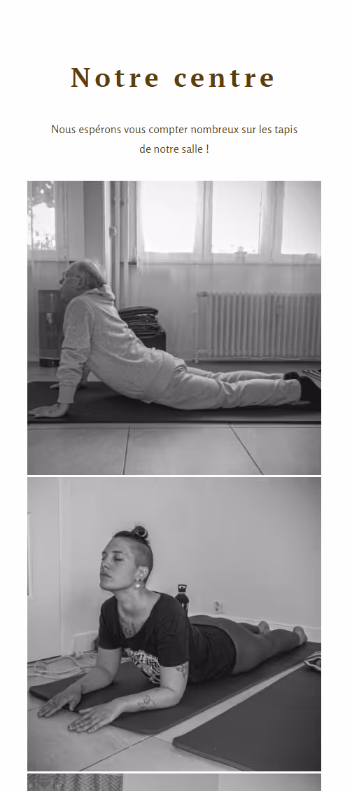 Isaure Lohest web developement project 3 - mobile vue