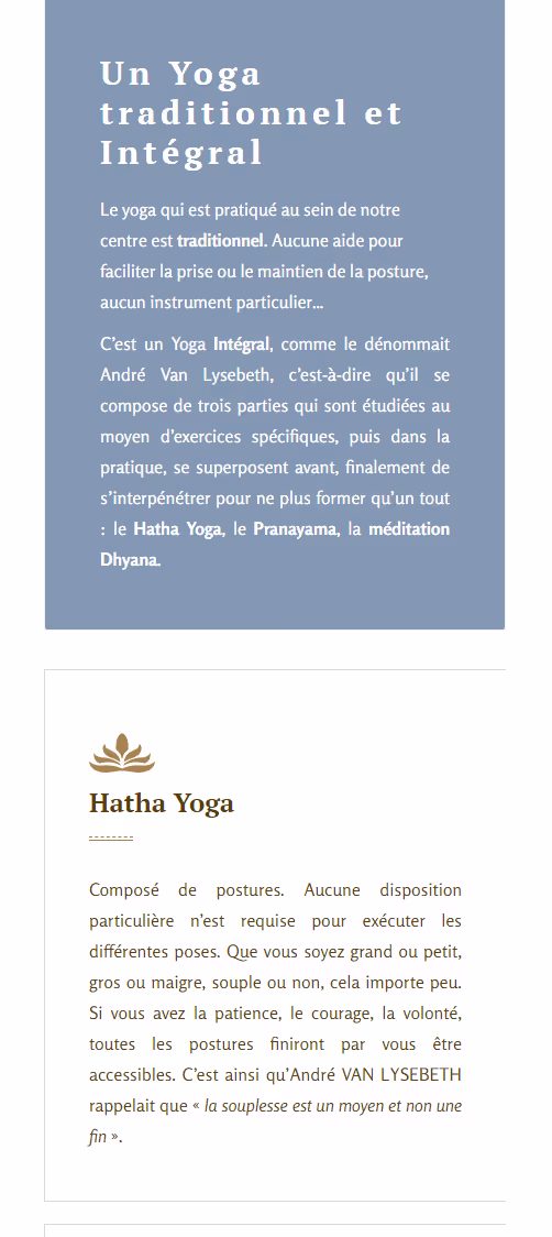 Isaure Lohest web developement project 3 - mobile vue
