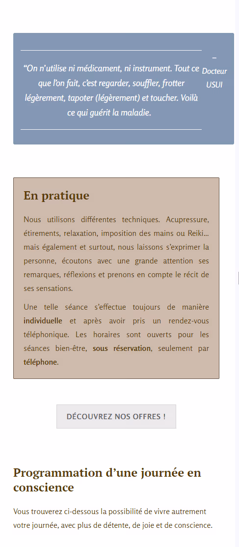 Isaure Lohest web developement project 3 - mobile vue