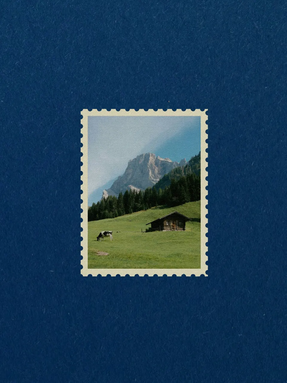 giulia squillace X1johoIUIUQ unsplash